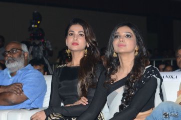 Size Zero Movie Audio Launch